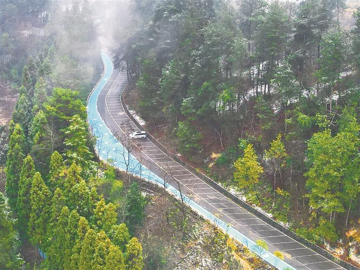 甘溪国家森林公园健身步道。（甘溪林场供图）