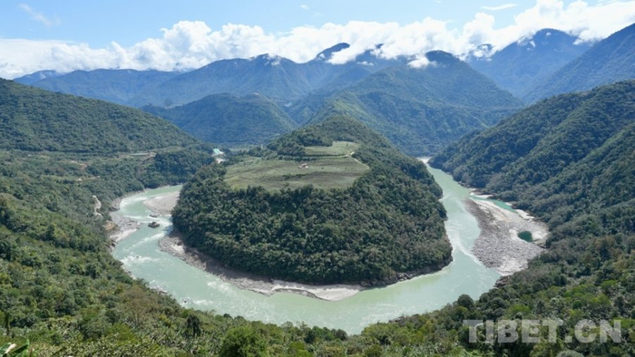 图为位于墨脱县的果果塘茶园 摄影：边子捷