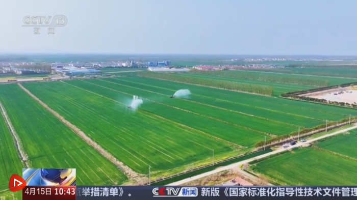 （点击查看原链接）