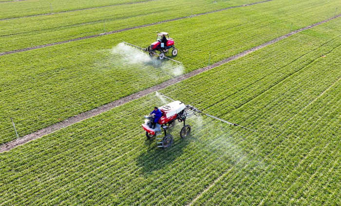 　　  2025年2月18日，在安徽省亳州市谯城区赵桥乡一处麦田，农民驾驶农机开展田间管理（无人机照片）。新华社发（刘勤利 摄）