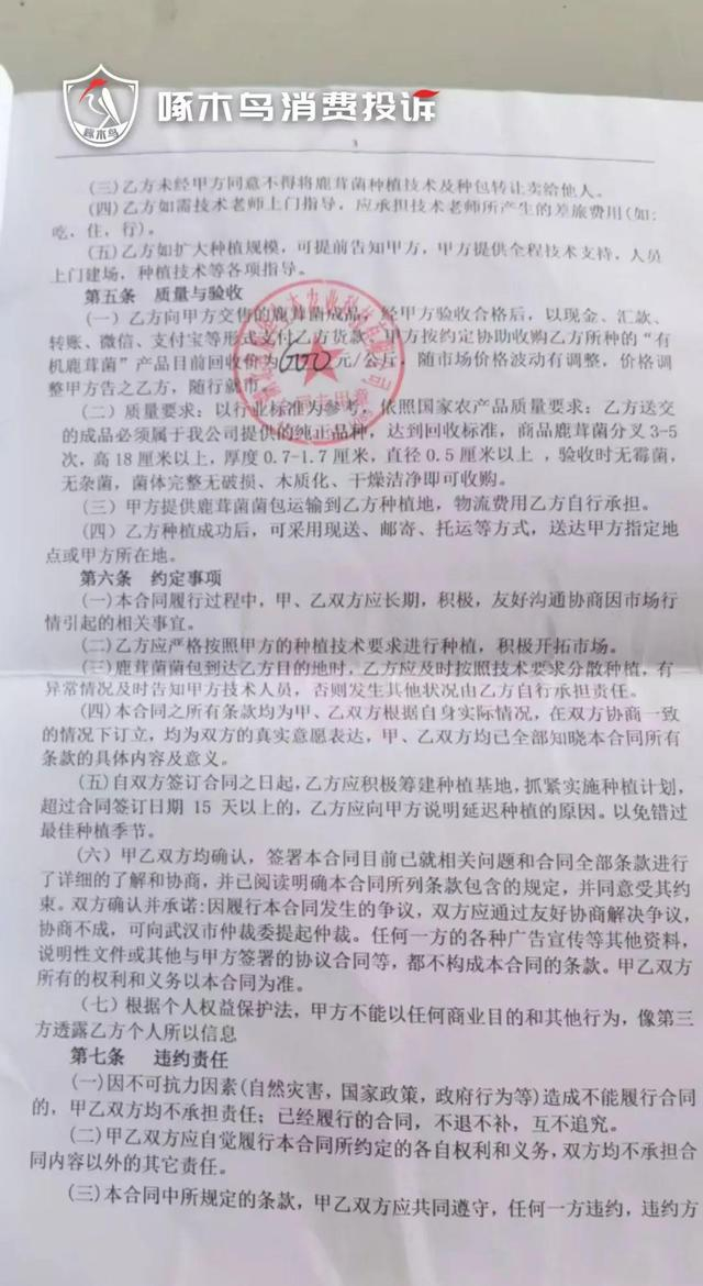 合同中标明了回收价为600元每公斤（央广网发受访者供图）