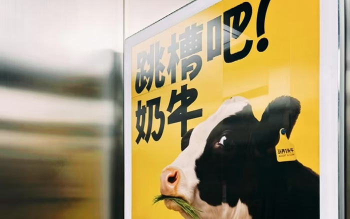 认养一头牛电梯广告。社交媒体截屏