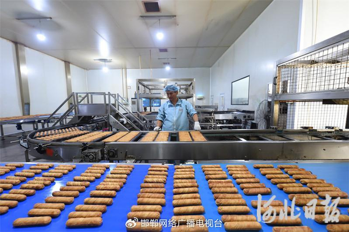 4月3日，在邱县河北集味轩食品有限公司面包生产车间，工人正在生产。孙海峰摄