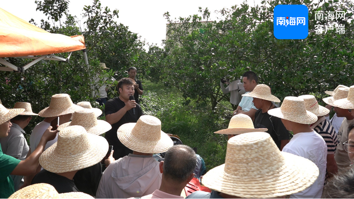 海南建邦农业科技有限公司绿橙种植基地 