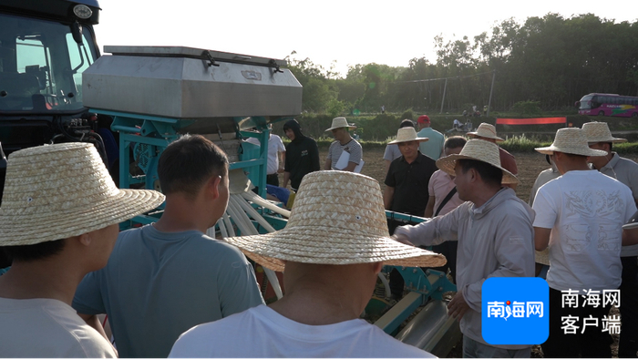 琼中黎母山镇新进农场马岭作业区