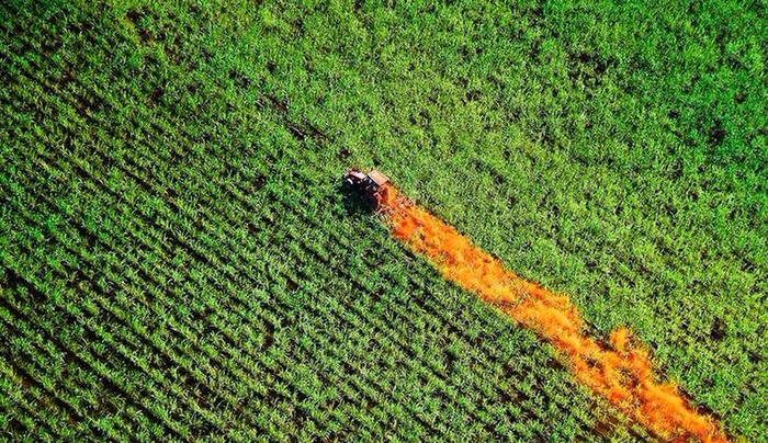 产量下降是由于严重干旱和甘蔗田大面积火灾造成的 图片源自：Divulgação/UNICA