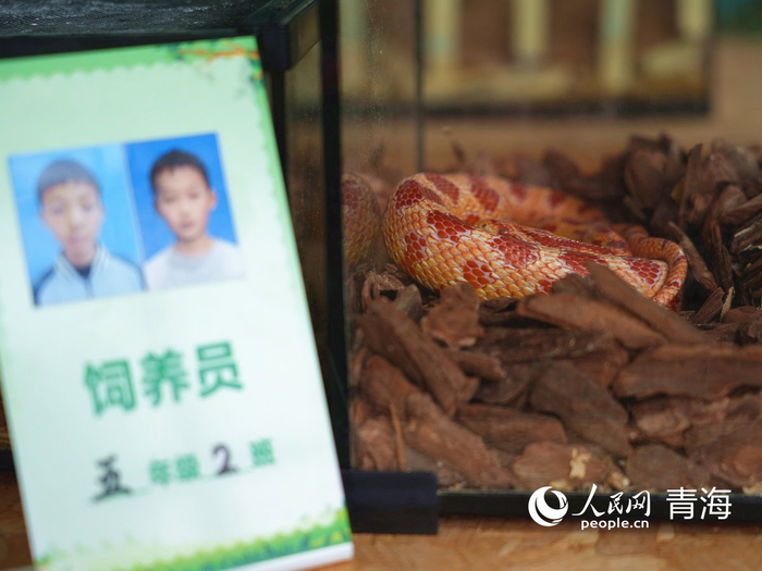 博远学校智慧生态教学厅内，“博小远”正睡觉。人民网记者 杨启红摄