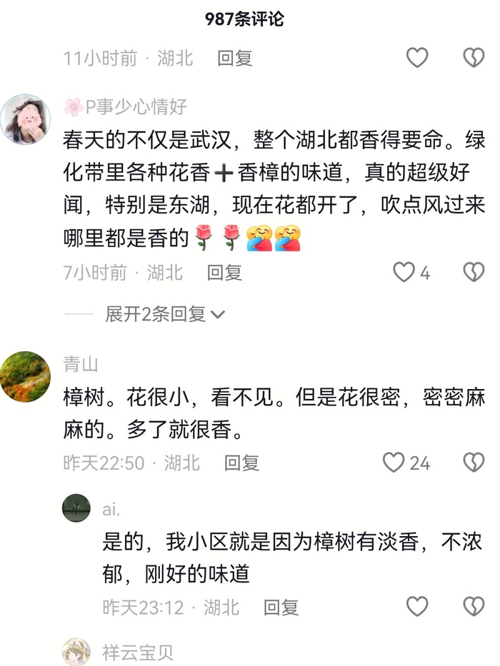 网友互动截图。