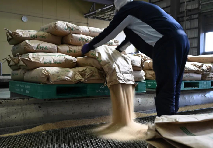 图片来源：视觉中国