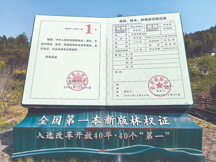 全国第一本新版林权证