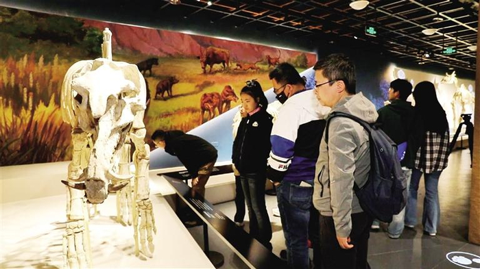 游客观看古动物化石