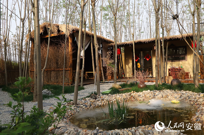 掩映在葱郁树林中的茶社。人民网记者 韩震震摄