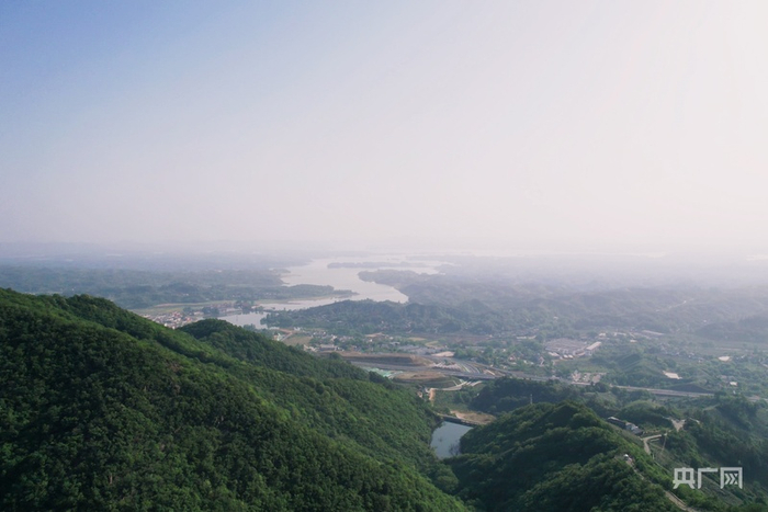 何家寨茶垄沿山势蜿蜒（央广网发  赵梦阳  摄）