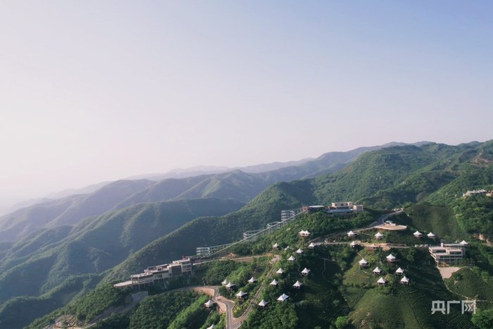 茶山上的白色帐篷酒店（央广网发  赵梦阳  摄）