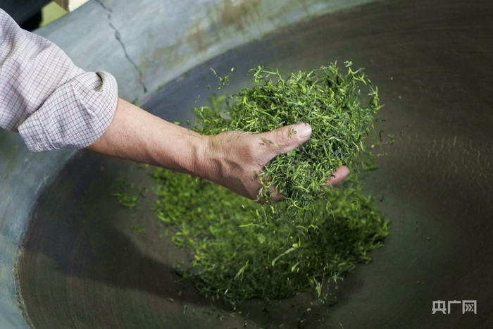 毛尖在锅中翻滚（央广网记者  张羲轮  摄）