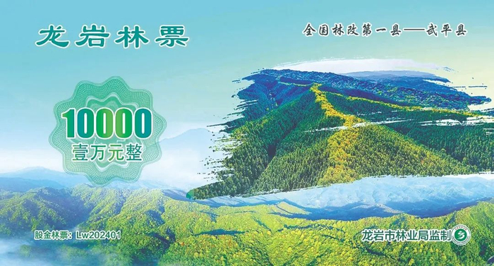 1号龙岩林票（武平）