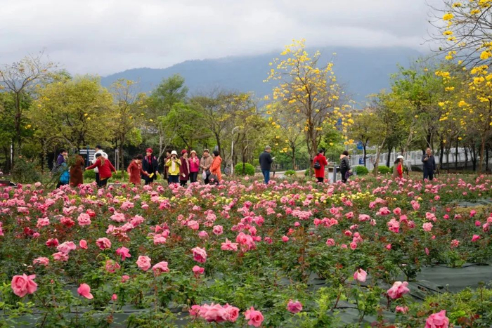 △鼎湖区融媒体中心记者 严钰滢 摄