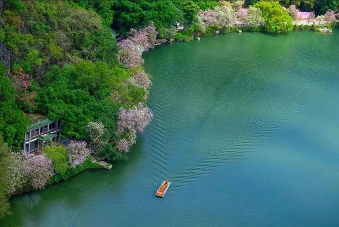 △图源 肇庆头条