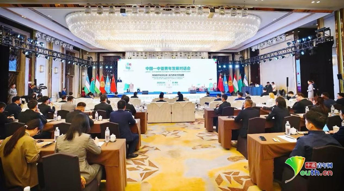 　　4月11日上午，中国—中亚青年发展对话会在西安正式举行。中国青年网记者 宋莉 摄