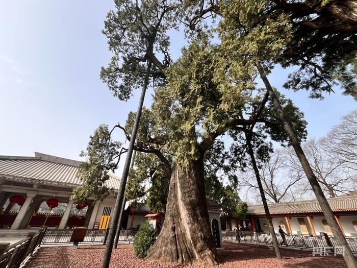 文化中国行丨陕西：守望“青绿常在” 让千年文化生生不息_手机新浪网