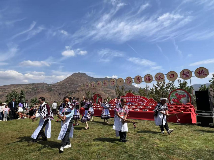 （图为首届会泽县马路乡水口村樱桃品介会现场。徐蕾4月19日摄。）