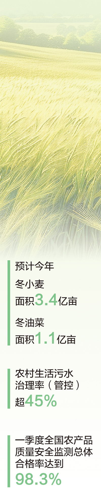 　　数据来源：农业农村部 　　制图：张芳曼