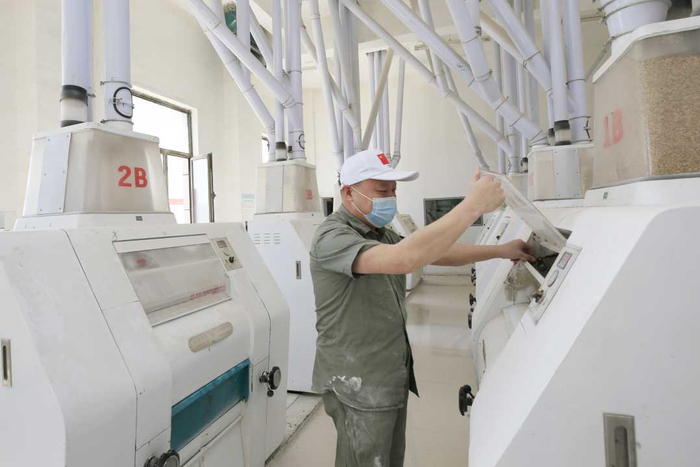 内蒙古北峰岭粮油有限公司生产繁忙。韩雨格摄