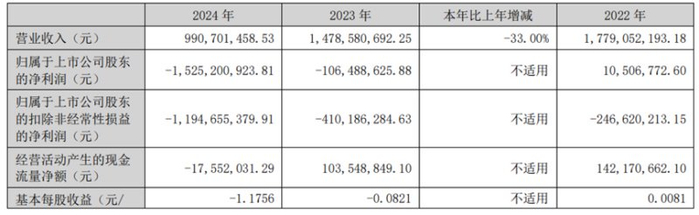 （来源：海南海药年报）