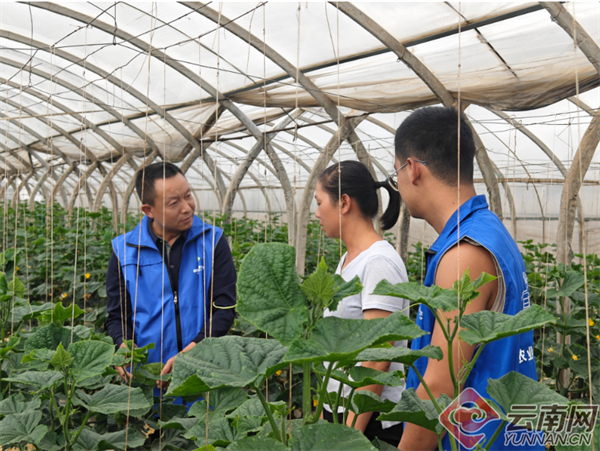 　农业技术服务到田间地头