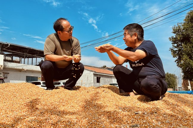 宋国庆（左）向村里种粮大户了解粮食增产丰收情况。