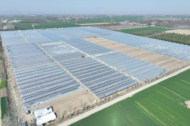 汝南县韩庄镇王竹园村的集中连片土地。（资料图）