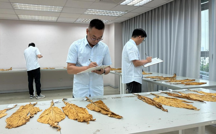 图为浙江中烟物资供应部开展烟叶团队业务培训