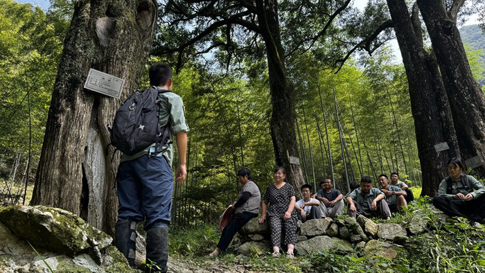 　　图片来源：桃花源九龙峰保护地