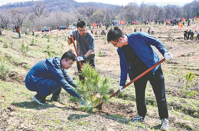     植树现场一片忙碌。本报记者 李健摄
