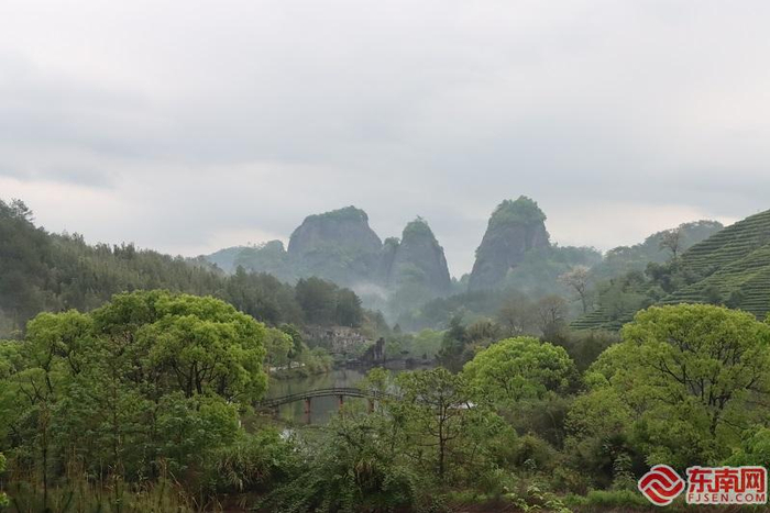 武夷山国家公园三才峰。