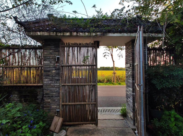 推开“薄荷香文苑”的竹制院门，便可见得稻田。（主办方供图）