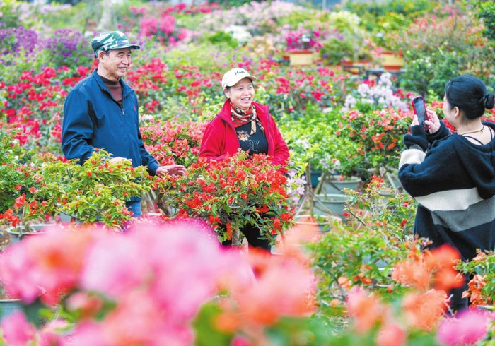 　　在海口红旗镇道崇村的三角梅共享农庄，盛开的三角梅吸引市民游客前来游玩。记者 苏弼坤 摄