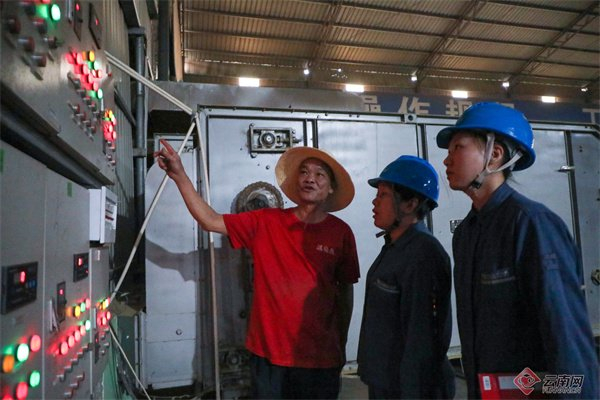 配电线路关乎着茉莉花生产的核心