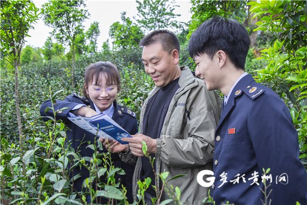 兴义市税务局走进绿茗茶业生态基地了解企业生产经营情况，现场详细讲解纳税信用等级评定政策与银税互动相关知识。张松/摄