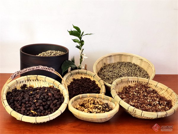 龙陵岭干咖啡（资料图） 徐静 摄