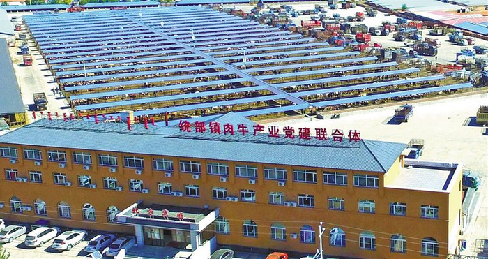 国家农业产业强镇林西县统部镇活畜交易市场。李晓军 摄