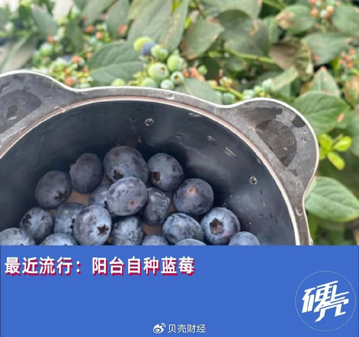 生活中，人们常用某某自由的句式形容自己对一些东西的从容掌控。