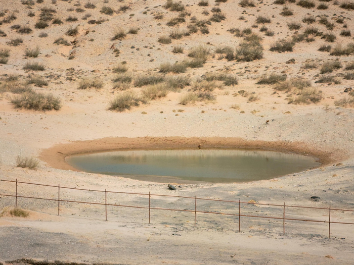 1号场地的天然水源地。 陈秀梅 摄