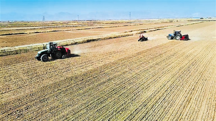 杭锦后旗头道桥镇进行春播。近年来，该镇作为国家农业产业强镇，着力发展向日葵、小麦等优势特色产业。王懿哲 摄