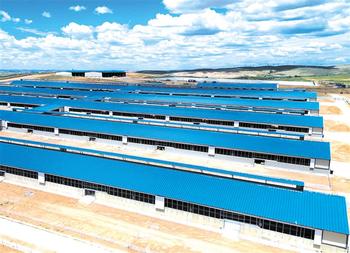 清水河奶山羊场棚舍整齐排列。作为国家农业产业强镇，清水河县五良太乡积极调整产业结构，大力发展奶山羊产业。 奈斯夫 摄