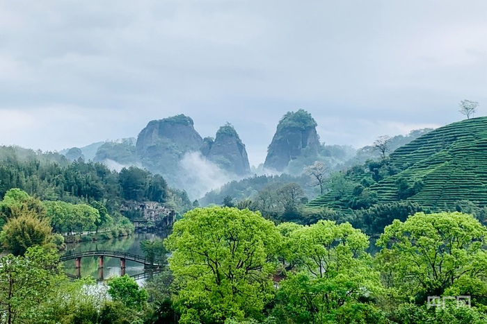 武夷山三才峰景色秀丽（央广网记者  罗晓英  摄）