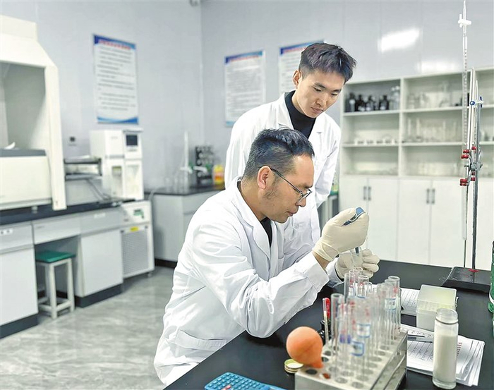 杭锦旗伊和乌素苏木引进科技人员进行肉牛养殖技术创新。（被访单位供图）