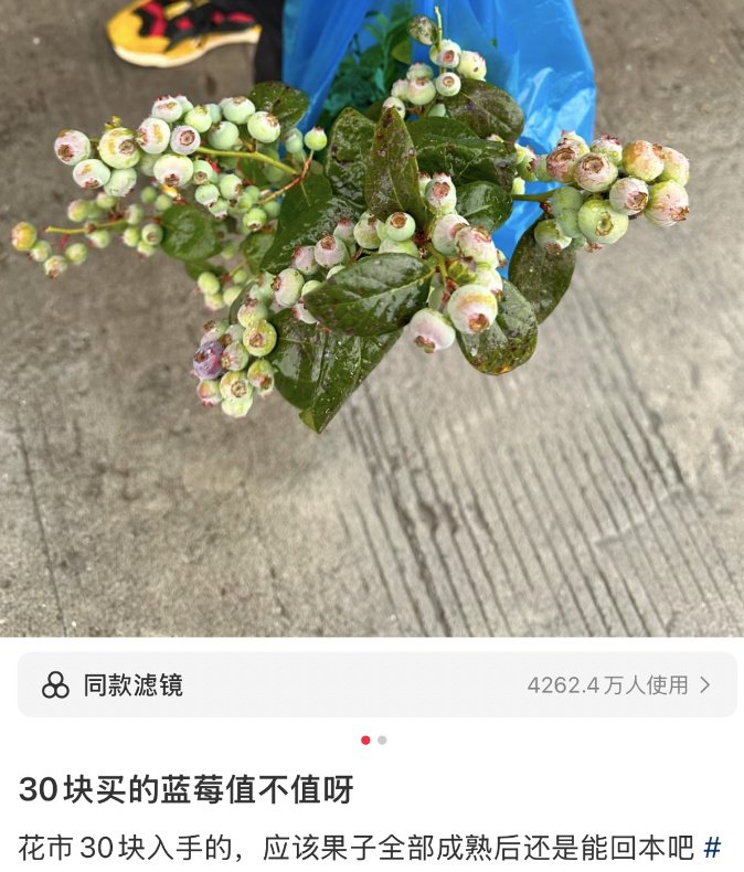 图/小红书用户@秋秋妹