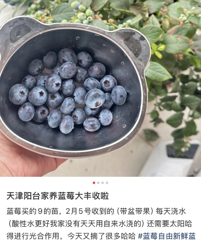 图/小红书用户@糖豆家