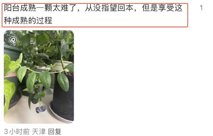 这几年，年轻消费者对花鸟鱼虫的需求日渐火热，用阳台养花种草建立自然生态系统也是未来房子的升级方向。